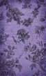 Old rose illustration