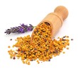 Lavendel