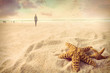 Foto: Starfish on the sand at the beach Starfish on the sand at the beach