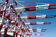 Cargo Cranes in Industrial Port