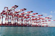 Cargo Cranes in Industrial Port