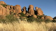 Graslandschaft in Namibia