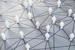 Illustration: Social Network Social Network