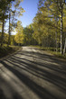 Photo: Autumn aspens on road near Crested Butte, Colorado Autumn aspens on road near Crested Butte, Colorado