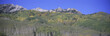 Photo: Panoramic of autumn color with mountains in background near Crested Butte Colorado Panoramic of autumn color with mountains in background near Crested Butte Colorado