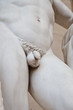 Body details - penis