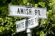 Amish horse and carriage driving past barn in Lancaster County, Pennsylvania