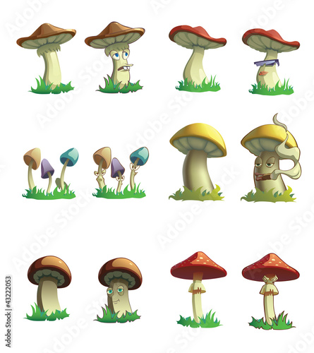 Vektor: mushrooms mushrooms