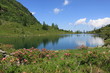 Moaralmsee 2