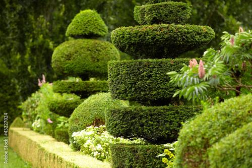 Photo: beautiful park beautiful park