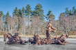 Horse Race fountain at La Granja Palace, Spain