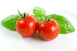 totmatoes basil