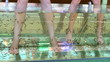 Peeling skin feet of tropical fish in the water