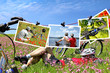 Dreaming of a wonderful bike tour