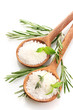 salt in spoons with fresh basil, thyme and rosemary isolated