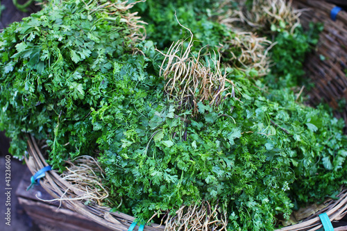 Foto: Coriander herb bunches on the market in Asia Coriander herb bunches on the market in Asia