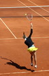 service,tennis, terre, battue, sport