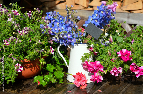 Photo: bunte Blumen Dekoration im Garten Terrasse bunte Blumen Dekoration im Garten Terrasse