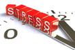 STRESS
