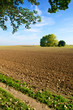 Herbstliche Ackerlandschaft, Agrarwirtschaft, Bodenkultur, Böden