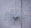 star luster