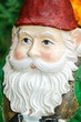 Garden gnome close up