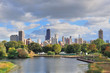Chicago Skyline