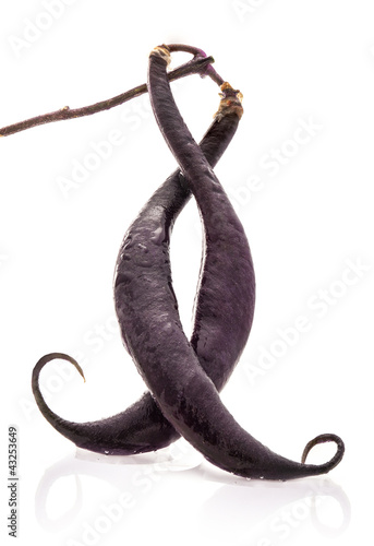 Photo: French Black beans isolated on white background French Black beans isolated on white background