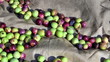 Video: Olives on the ground close up zoom in Olives on the ground close up zoom in