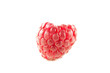 Photo: Himbeere Himbeere