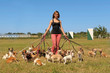 girl and chihuahuas