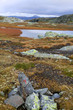Landschaft in der Hardangervidda in Norwegen