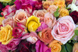 Photo: Rosen Rosen