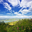 Almwiese mit Blick auf See und Himmel