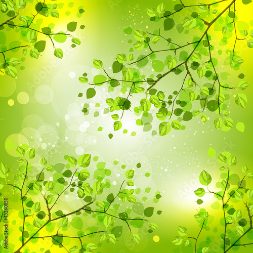 Vector: Background with decorative ornaments Background with decorative ornaments