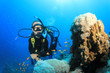 Scuba Diver, Tropical Fish and Coral Reef