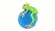 rotating frog loopable