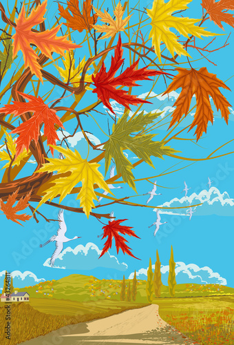 Vector: Rural autumn landscape with maple leaves Rural autumn landscape with maple leaves