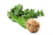 Photo: Celery root Celery root