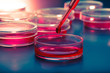 Pipette  and petri dishes