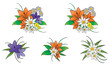 Fiori delle Dolomiti
