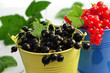 Schwarze  und rote Johannisbeeren