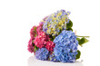 Bouquet pink and blue Hydrangea