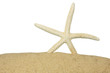 Starfish on sand