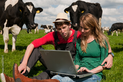 Photo: Young couple farmers in field with cows Young couple farmers in field with cows