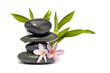 Spa still life with flowers and green leafs