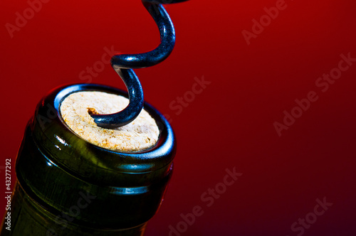 Photo: Wein Wein