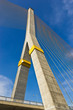 Rama VIII bridge in Bangkok from thailand