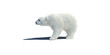 Illustration: polar bear 3d illustration polar bear 3d illustration