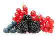 Beeren